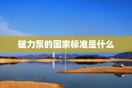 磁力泵的国家标准是什么