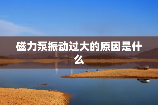 磁力泵振动过大的原因是什么