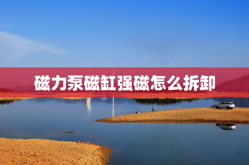 磁力泵磁缸强磁怎么拆卸
