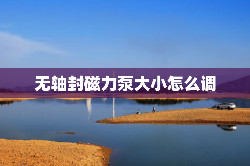 无轴封磁力泵大小怎么调