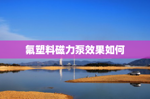 氟塑料磁力泵效果如何