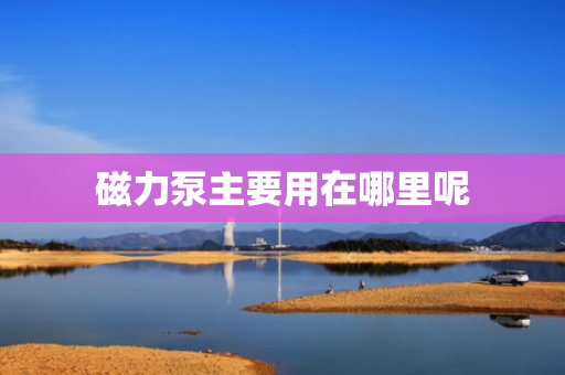 磁力泵主要用在哪里呢