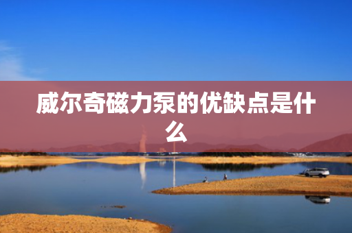 威尔奇磁力泵的优缺点是什么