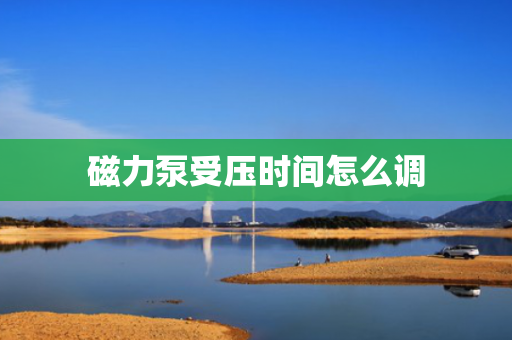 磁力泵受压时间怎么调