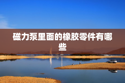 磁力泵里面的橡胶零件有哪些