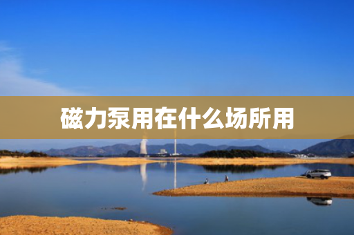 磁力泵用在什么场所用