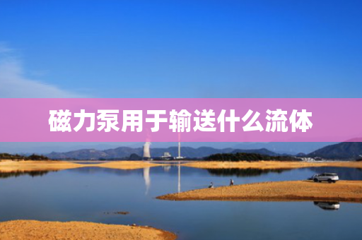 磁力泵用于输送什么流体