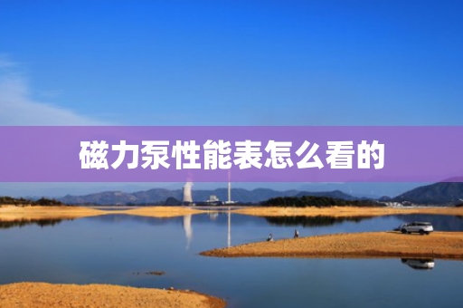 磁力泵性能表怎么看的