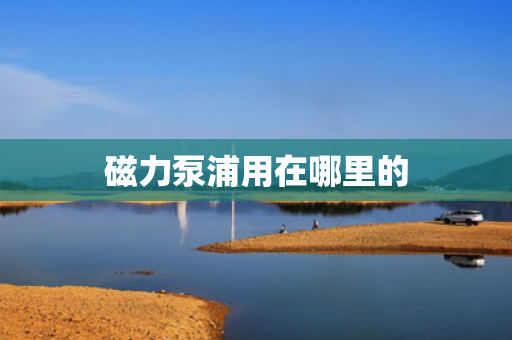 磁力泵浦用在哪里的