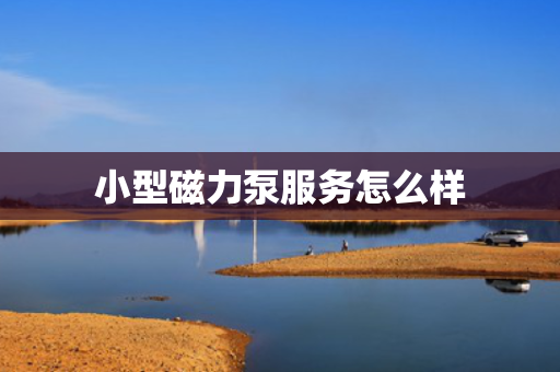 小型磁力泵服务怎么样