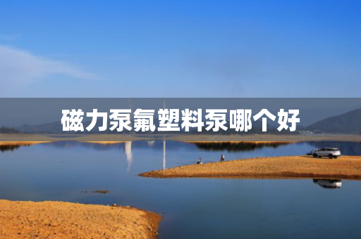 磁力泵氟塑料泵哪个好