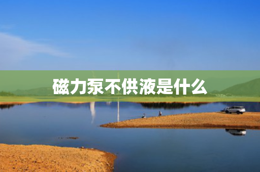 磁力泵不供液是什么