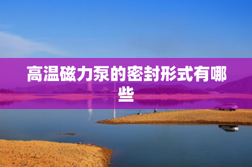 高温磁力泵的密封形式有哪些