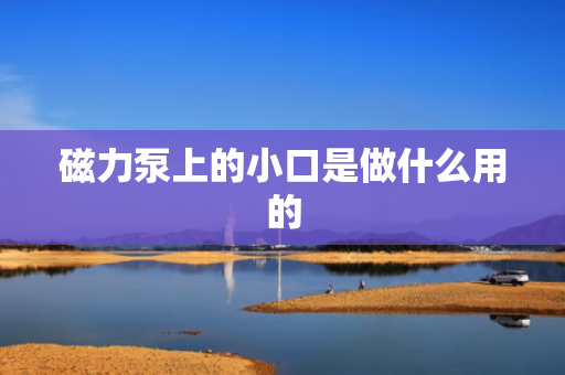 磁力泵上的小口是做什么用的
