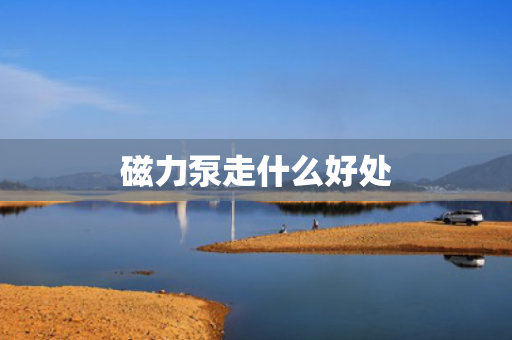 磁力泵走什么好处