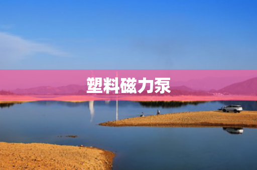 塑料磁力泵