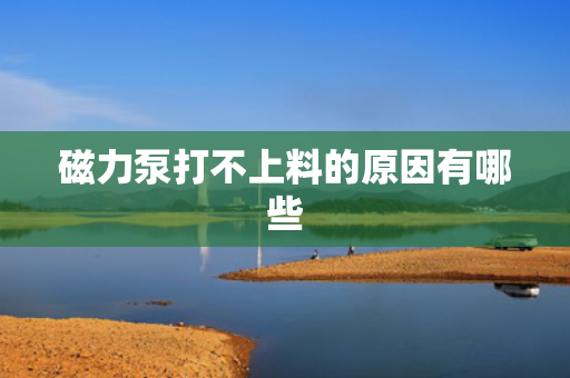 磁力泵打不上料的原因有哪些
