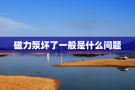 磁力泵坏了一般是什么问题