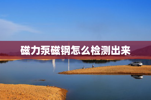 磁力泵磁钢怎么检测出来