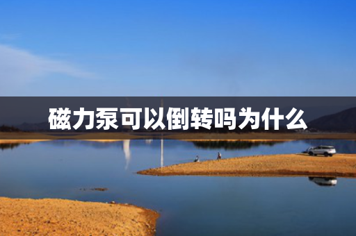 磁力泵可以倒转吗为什么
