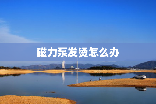 磁力泵发烫怎么办