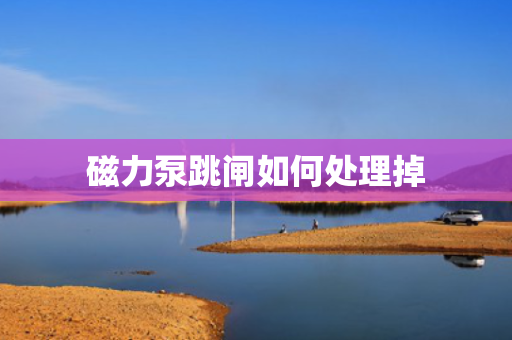 磁力泵跳闸如何处理掉