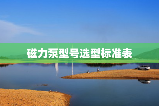 磁力泵型号选型标准表