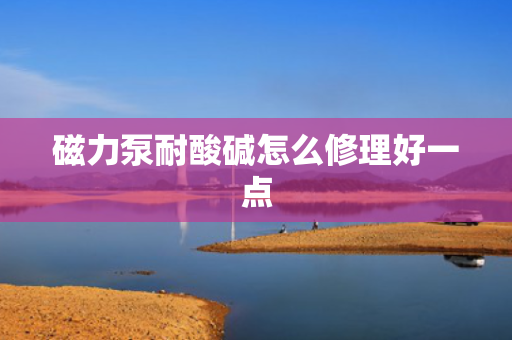 磁力泵耐酸碱怎么修理好一点