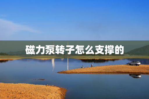 磁力泵转子怎么支撑的