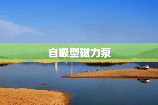 自吸型磁力泵