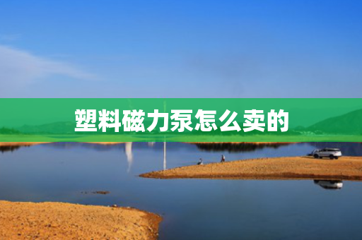 塑料磁力泵怎么卖的