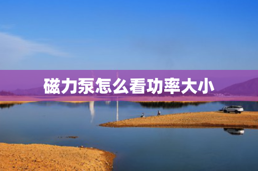 磁力泵怎么看功率大小