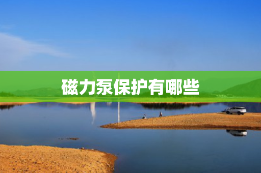 磁力泵保护有哪些