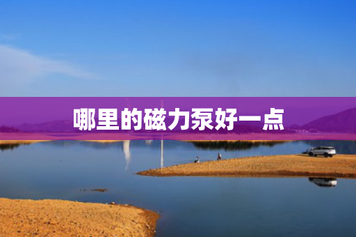 哪里的磁力泵好一点