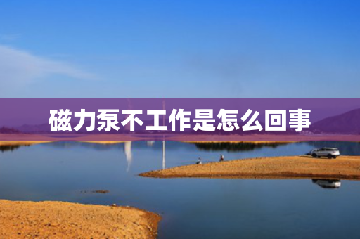 磁力泵不工作是怎么回事