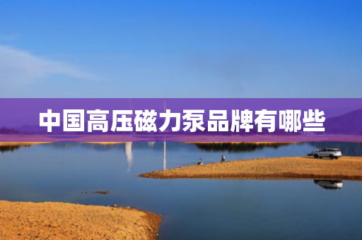 中国高压磁力泵品牌有哪些