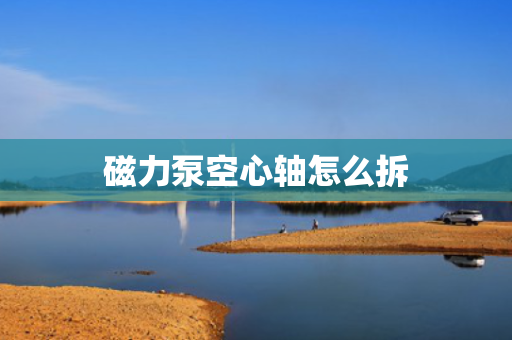 磁力泵空心轴怎么拆