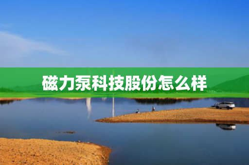 磁力泵科技股份怎么样