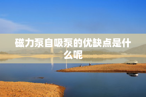 磁力泵自吸泵的优缺点是什么呢
