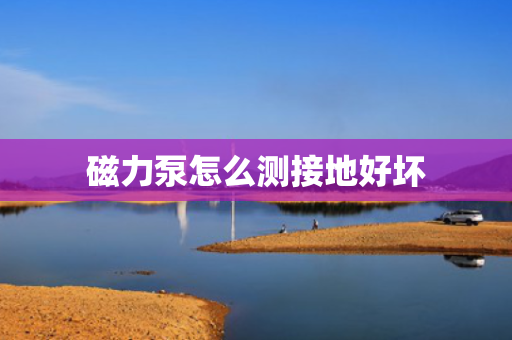 磁力泵怎么测接地好坏