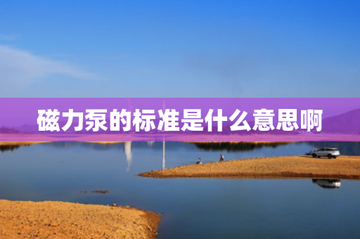 磁力泵的标准是什么意思啊