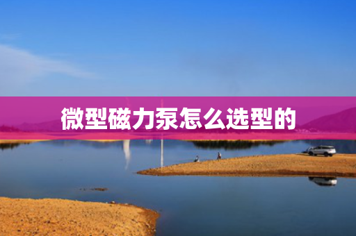 微型磁力泵怎么选型的