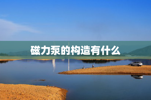 磁力泵的构造有什么