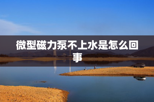 微型磁力泵不上水是怎么回事
