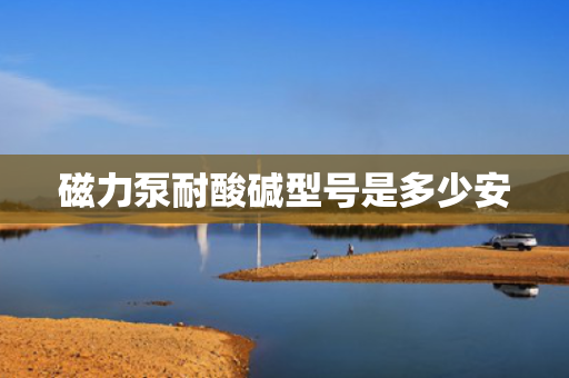 磁力泵耐酸碱型号是多少安