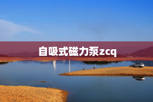 自吸式磁力泵zcq