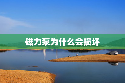 磁力泵为什么会损坏