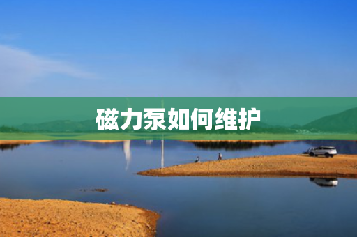 磁力泵如何维护