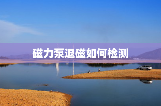 磁力泵退磁如何检测