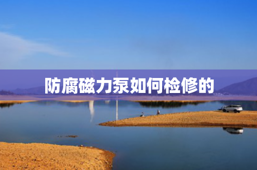 防腐磁力泵如何检修的